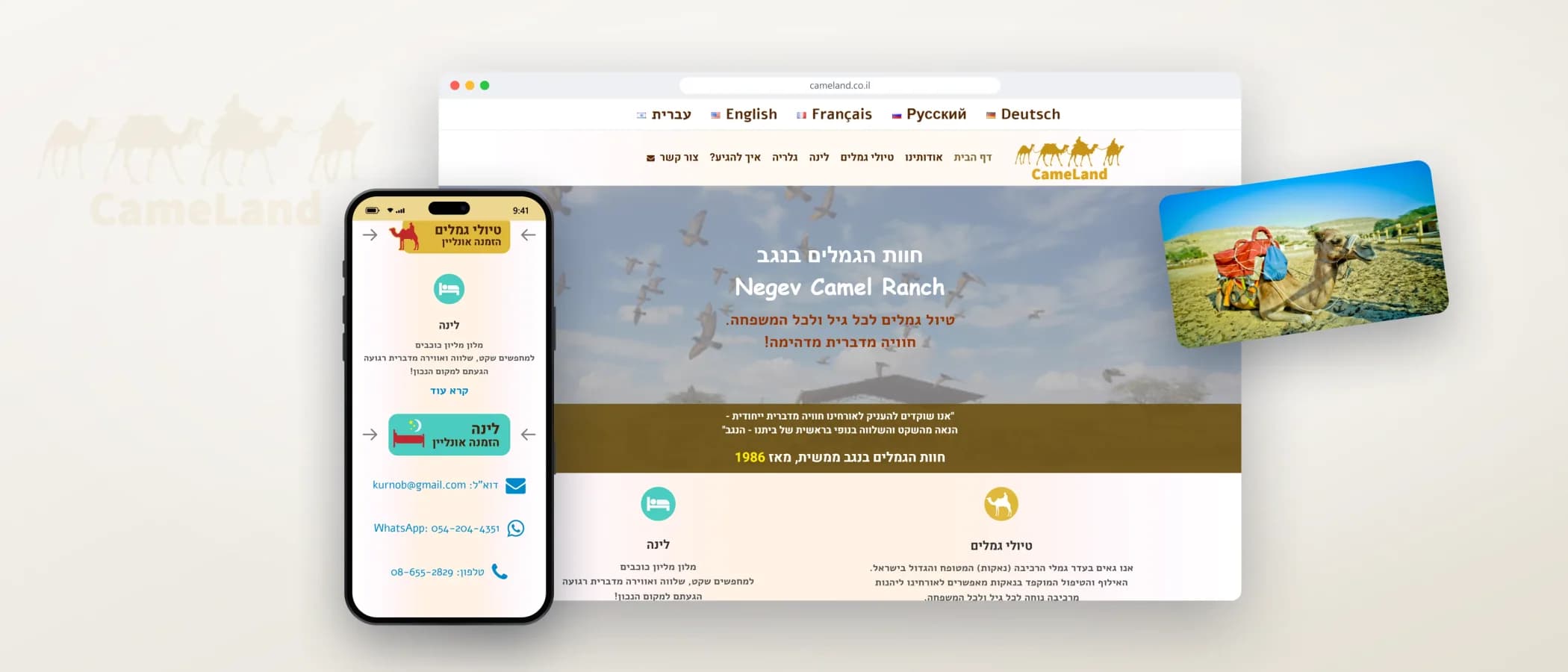 תמונת פרויקט: חוות הגמלים בנגב