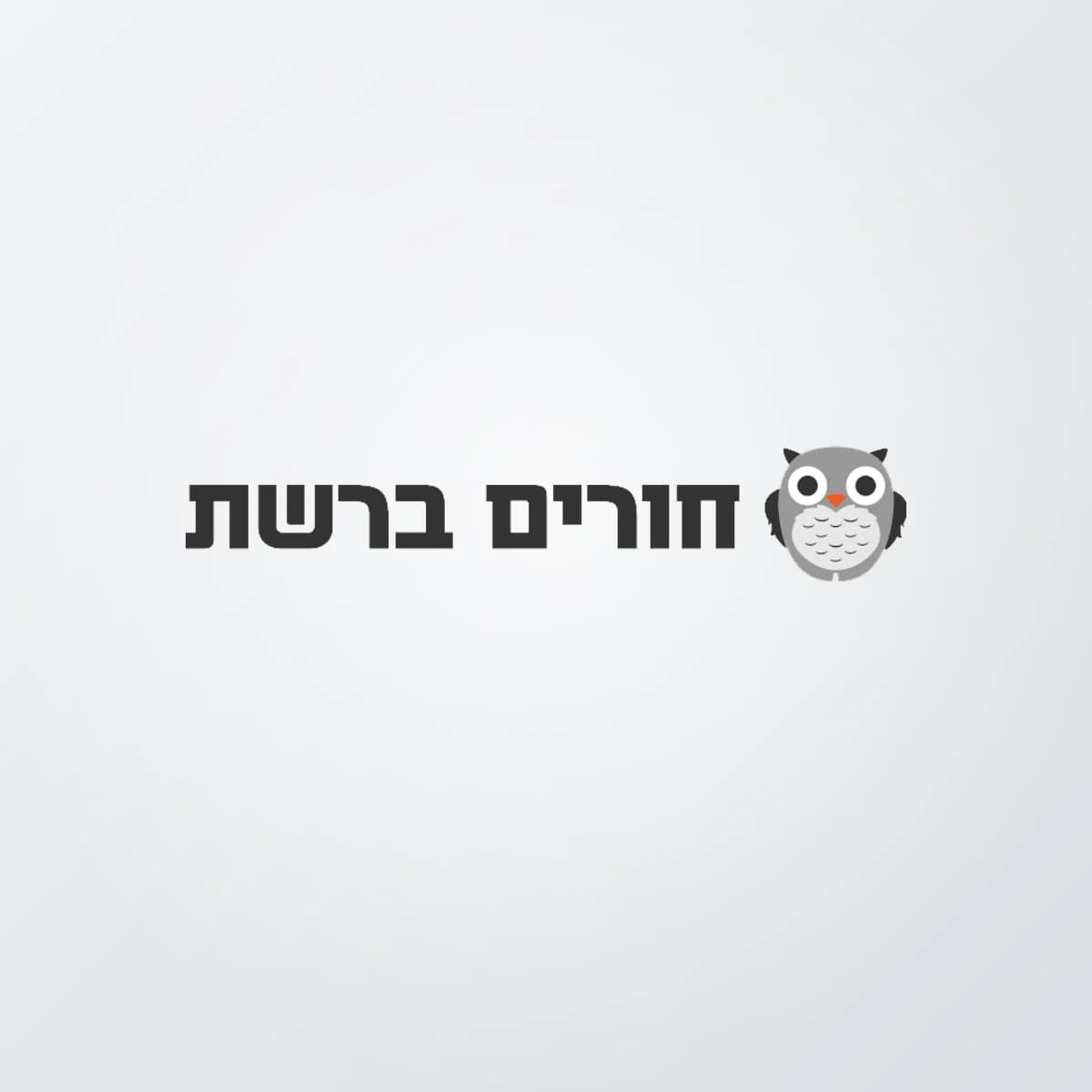 תמונת פרויקט: חורים ברשת