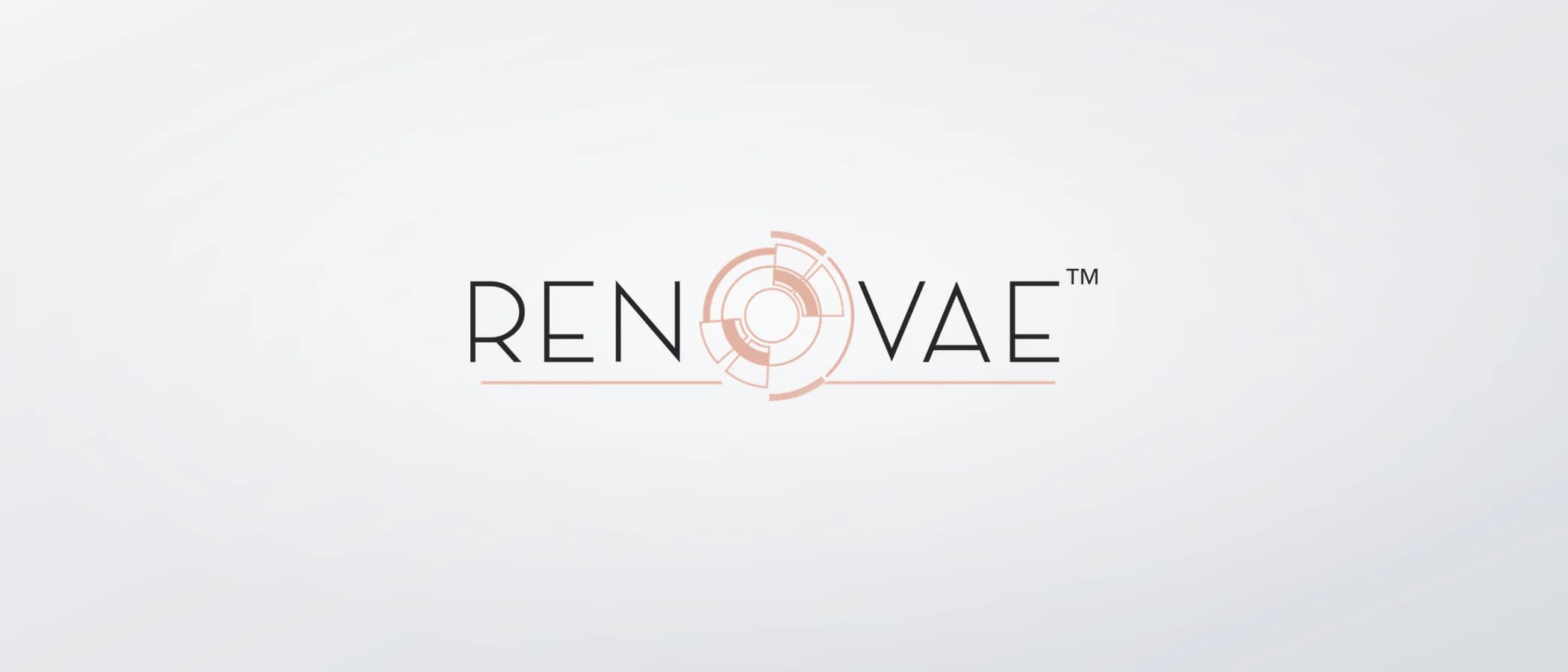 תמונת פרויקט: Renovae