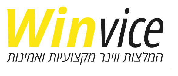 לוגו Winvice