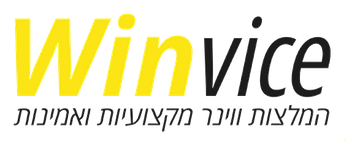 הלוגו של Winvice